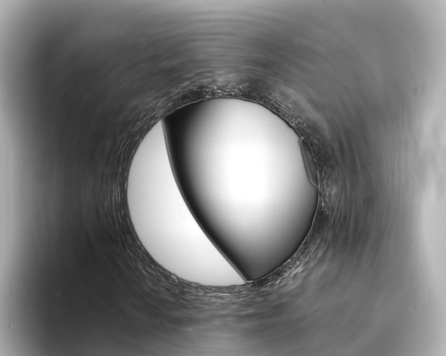 X0000094341010200711021145