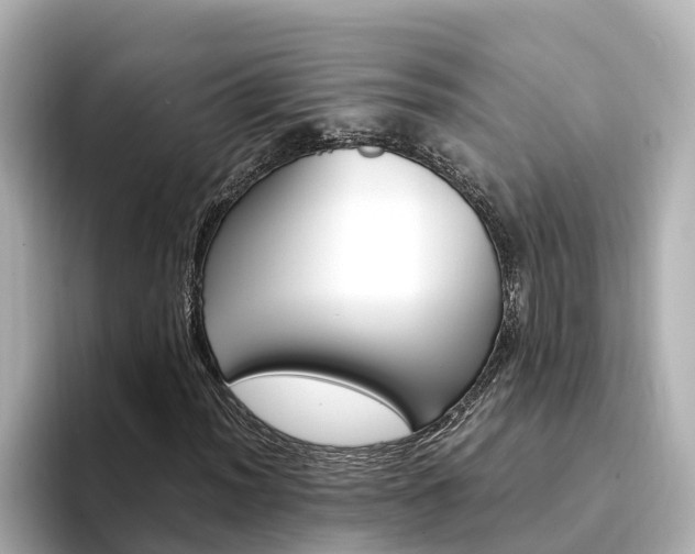 X0000094341012200711021145