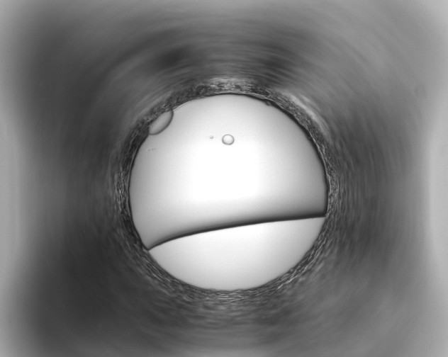 X0000094341015200711021145