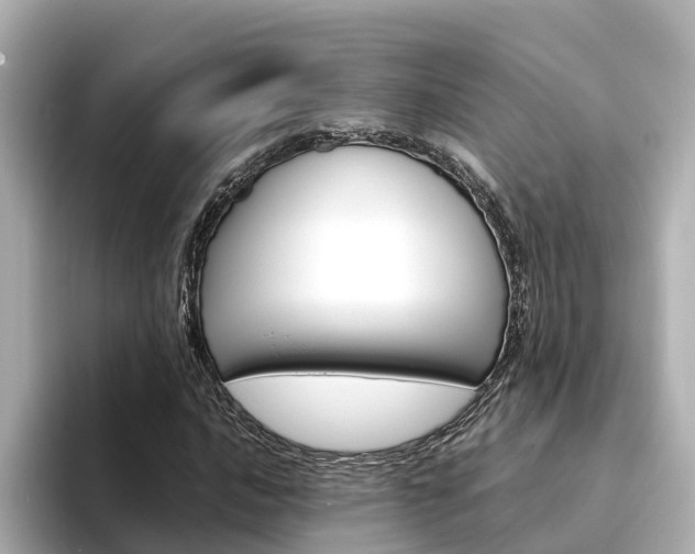 X0000094341016200711021145