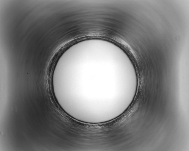 X0000094341019200711021145