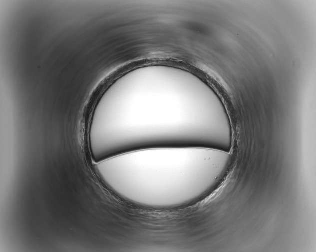 X0000094341021200711021145