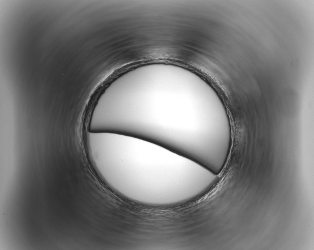 X0000094341023200711021145