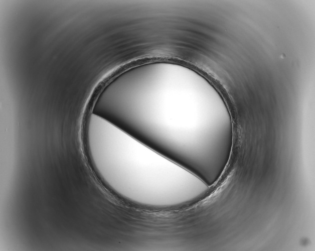 X0000094341029200711021145