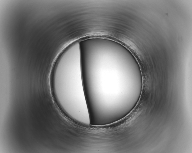 X0000094341030200711021145