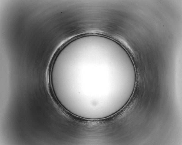 X0000094341032200711021145