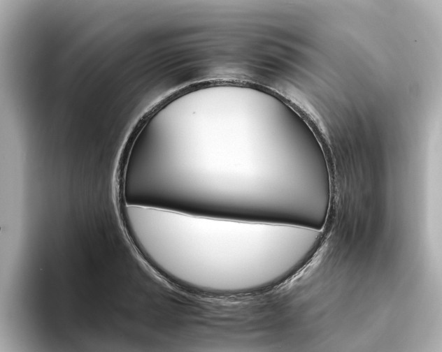 X0000094341037200711021145