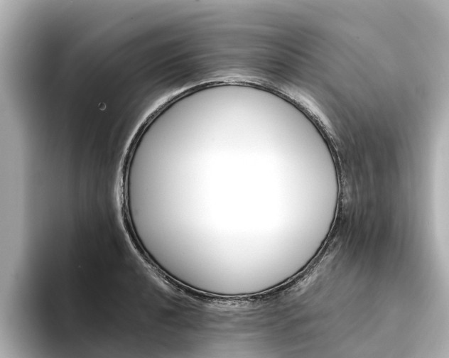X0000094341040200711021145