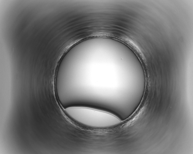 X0000094341041200711021145