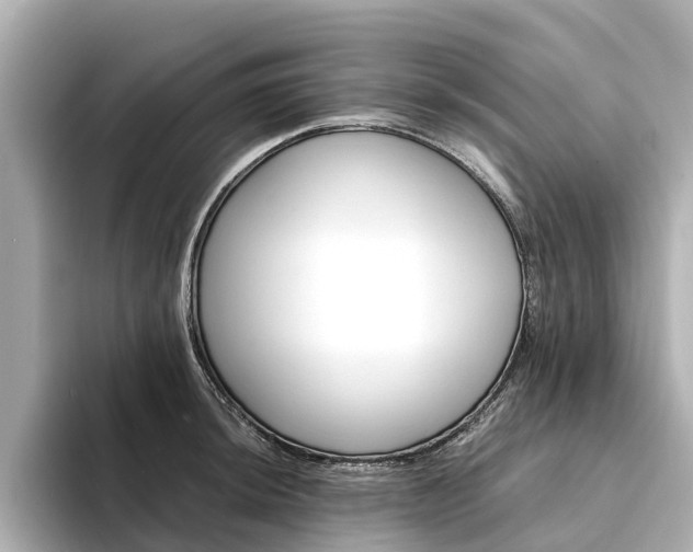 X0000094341044200711021145