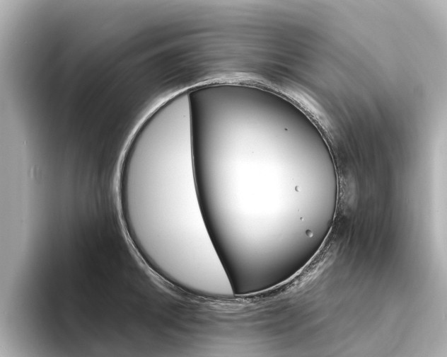 X0000094341046200711021145