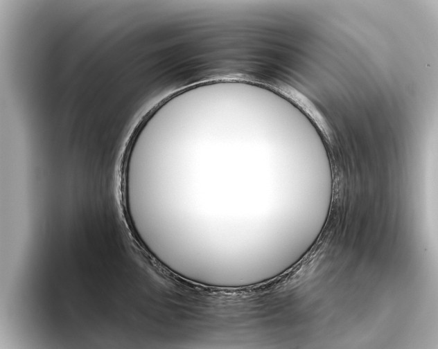 X0000094341051200711021146
