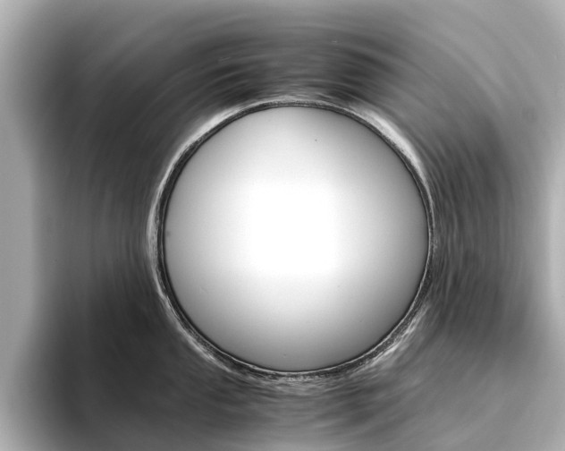 X0000094341053200711021146