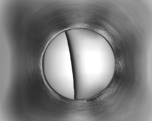 X0000094341055200711021146