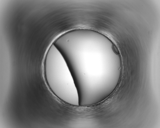 X0000094341056200711021146