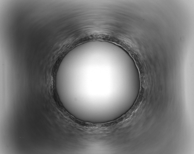 X0000094341061200711021145