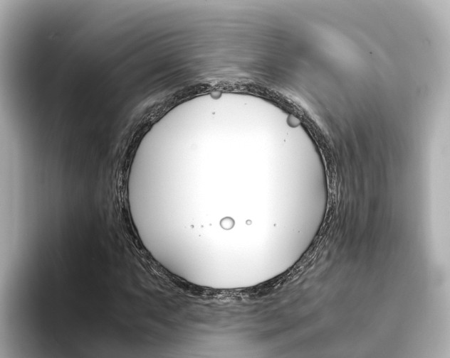 X0000094341063200711021145