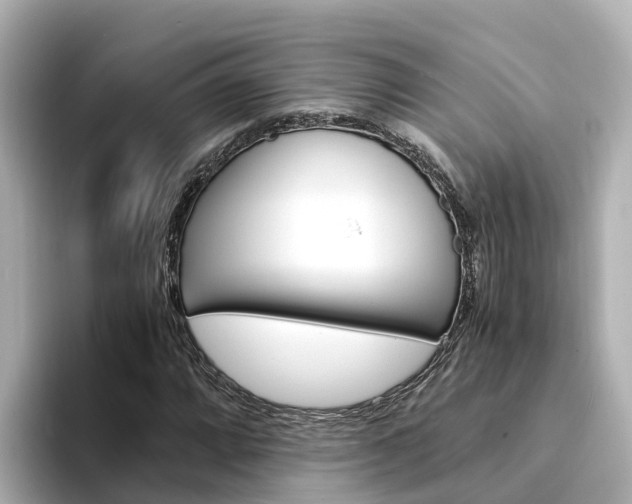 X0000094341064200711021145