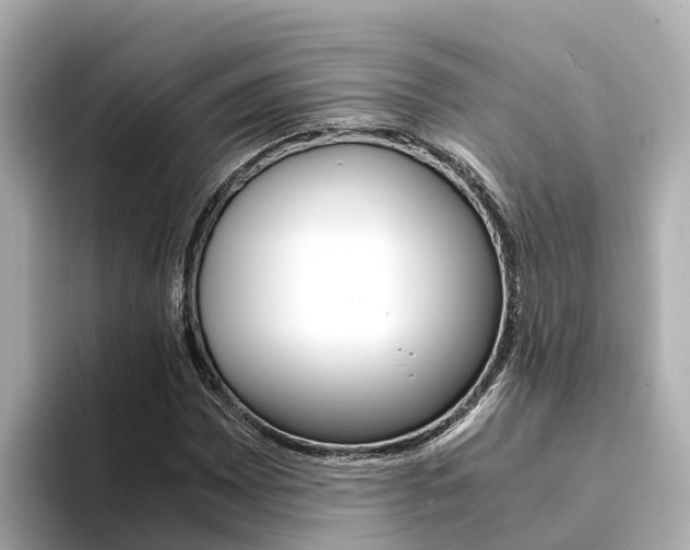 X0000094341065200711021145