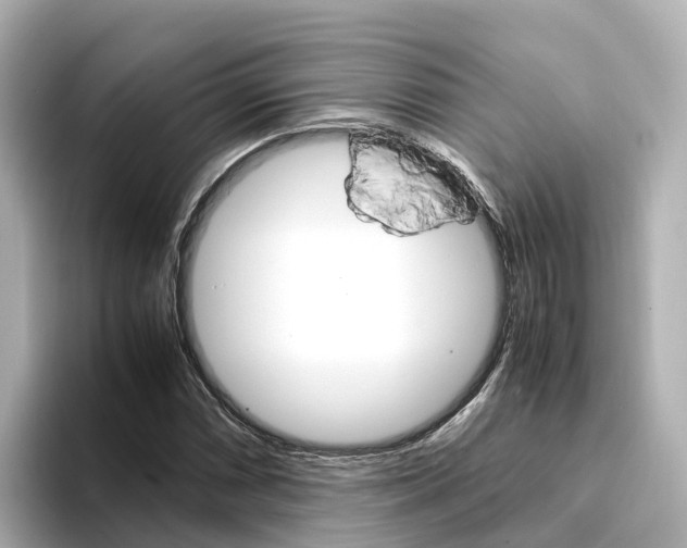 X0000094341066200711021145