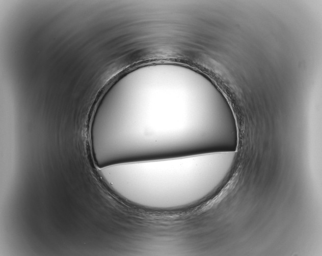 X0000094341073200711021145
