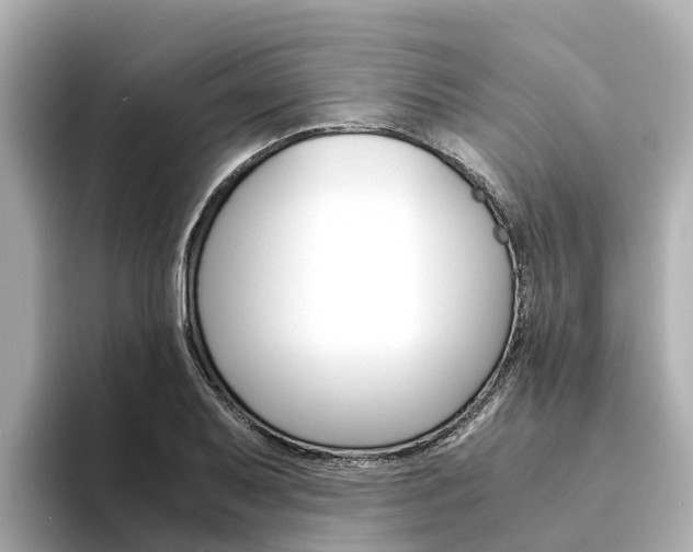 X0000094341079200711021145