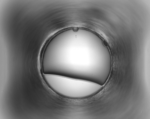 X0000094341080200711021145
