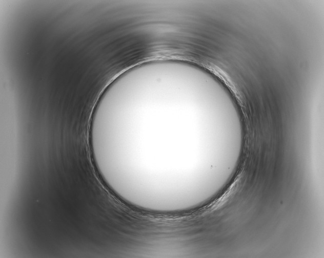 X0000094341081200711021145