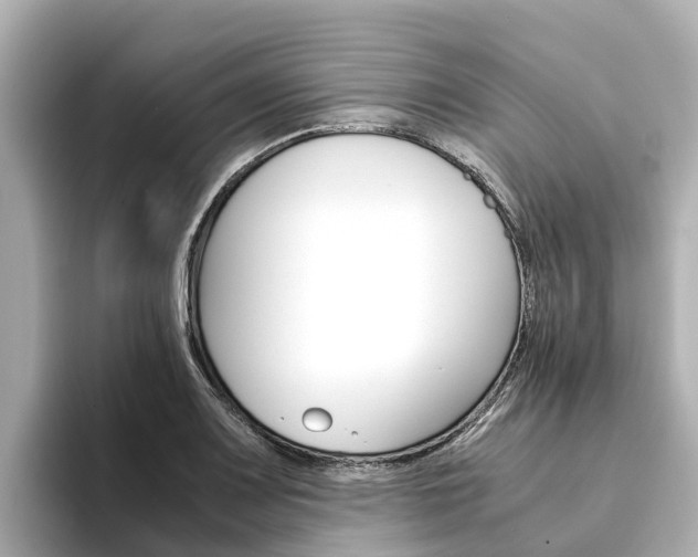 X0000094341083200711021145