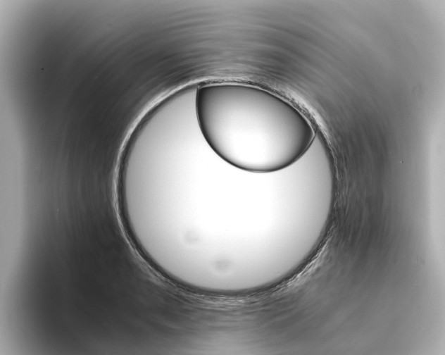 X0000094341085200711021145
