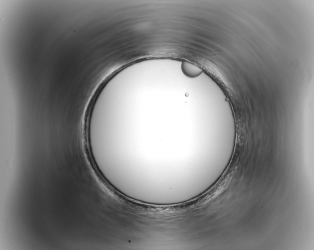 X0000094341087200711021145