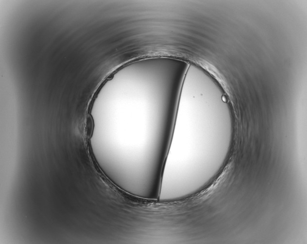 X0000094341089200711021145