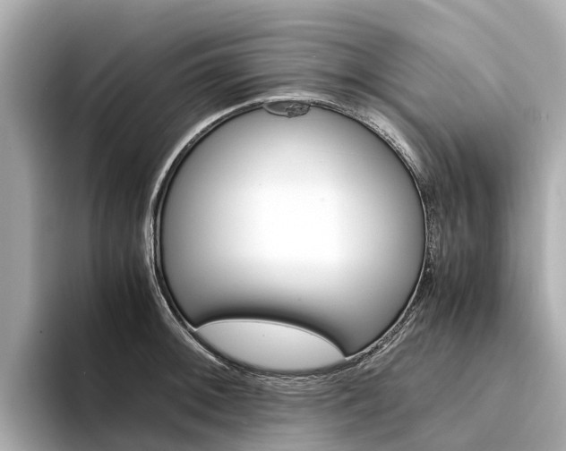 X0000094341092200711021145