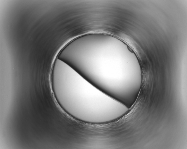 X0000094341100200711021145