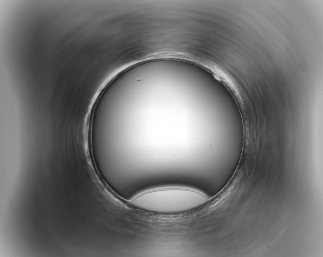X0000094341102200711021144