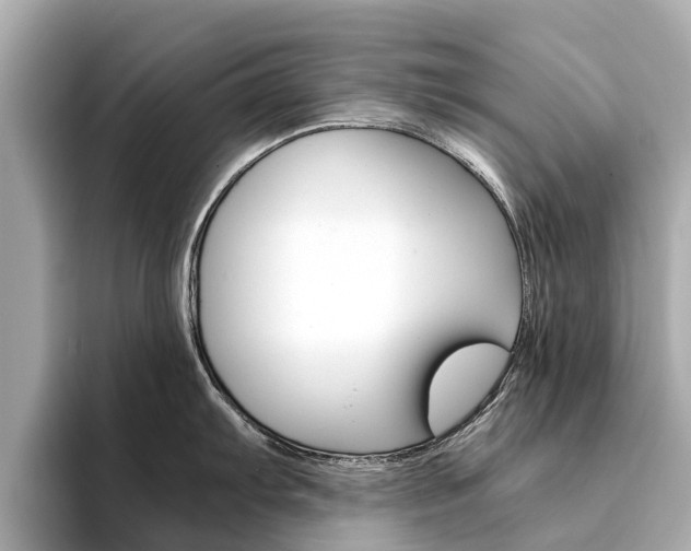X0000094341103200711021144