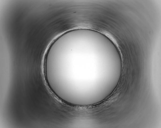 X0000094341104200711021144