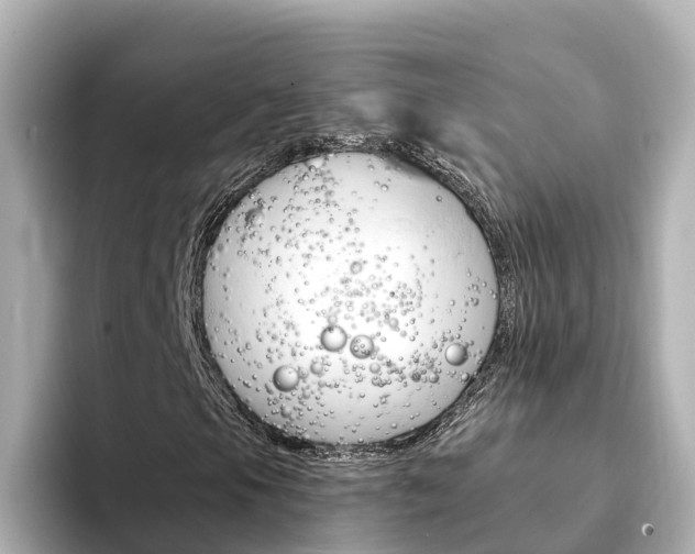 X0000094341105200711021144