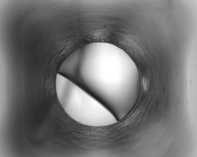 X0000094341107200711021144
