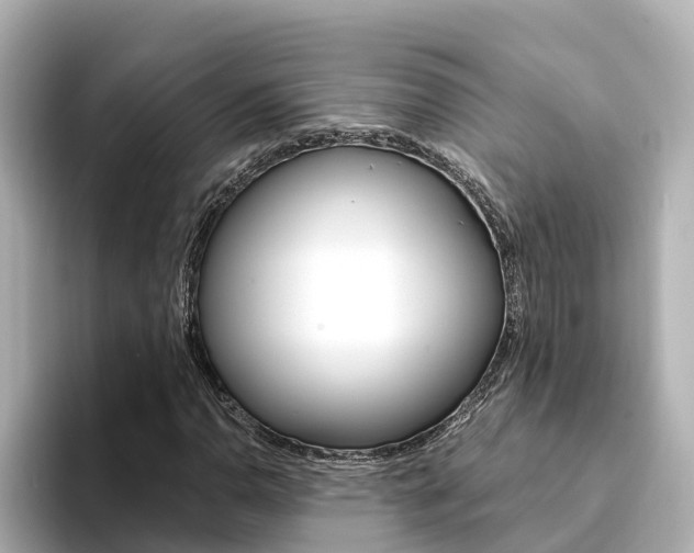 X0000094341110200711021144