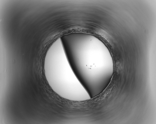 X0000094341111200711021144