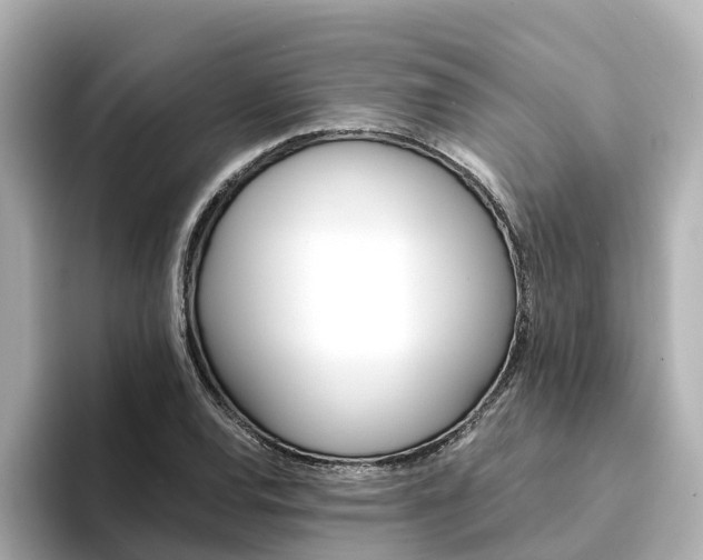 X0000094341120200711021144