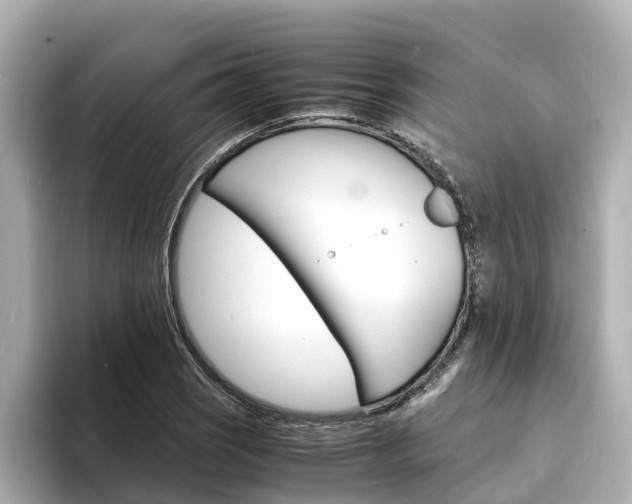 X0000094341121200711021144
