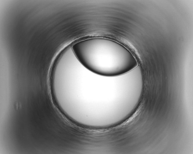 X0000094341122200711021144