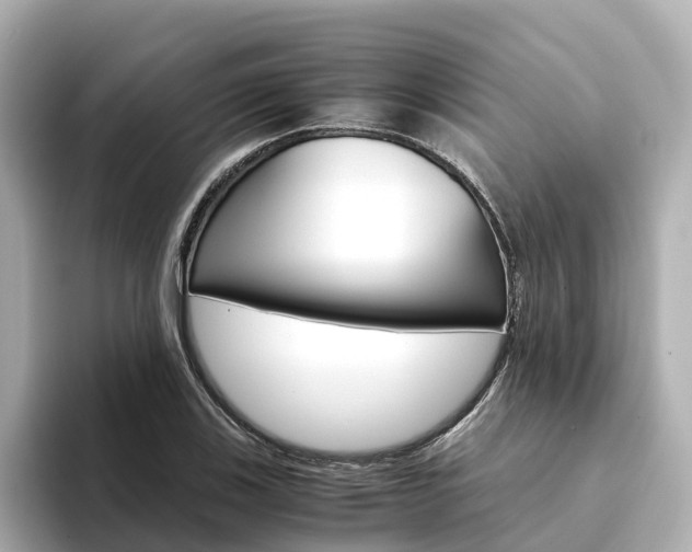 X0000094341123200711021144