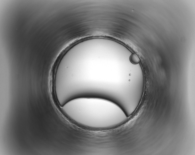 X0000094341126200711021144