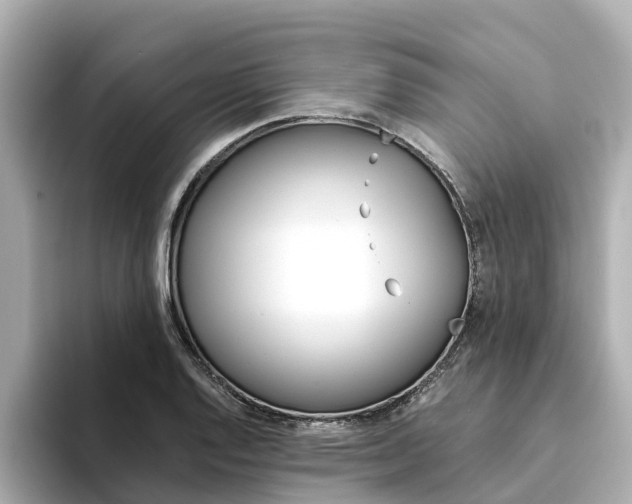 X0000094341128200711021144