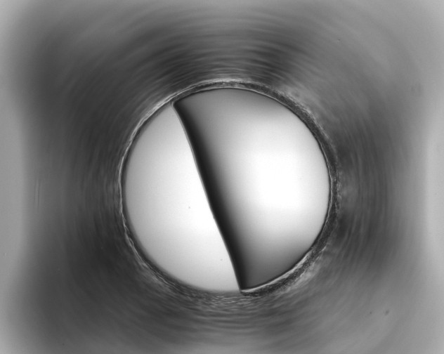 X0000094341129200711021144