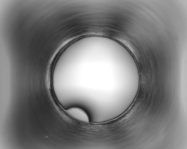X0000094341131200711021144