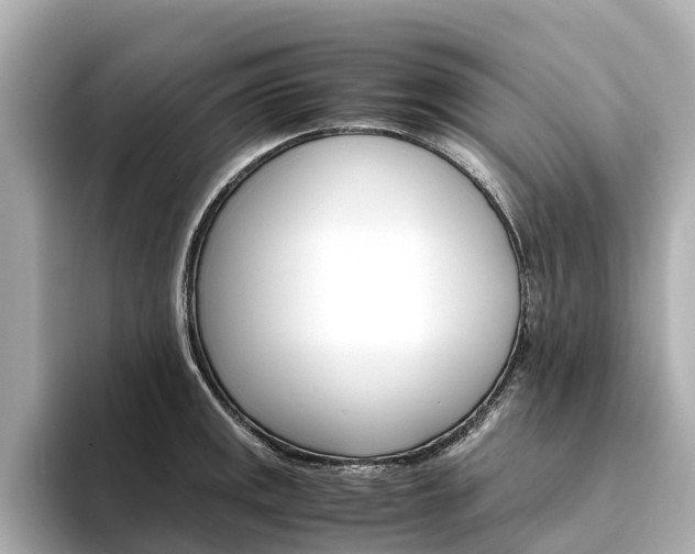 X0000094341141200711021144